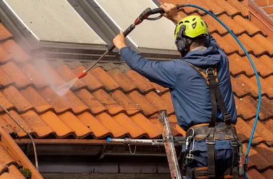Démoussage et hydrofuge de toiture à Génébrières